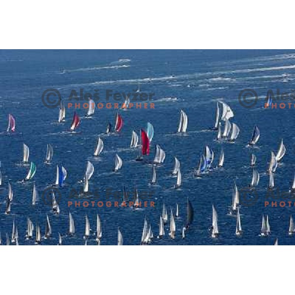 Yachts after start