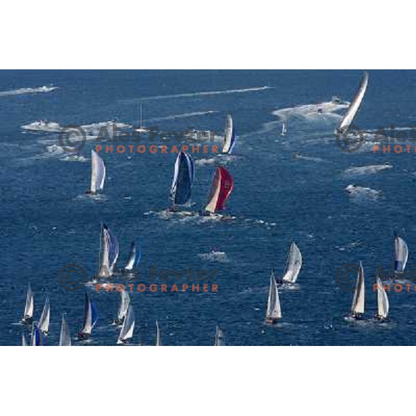 Alfa Romeo leading towards first buoy