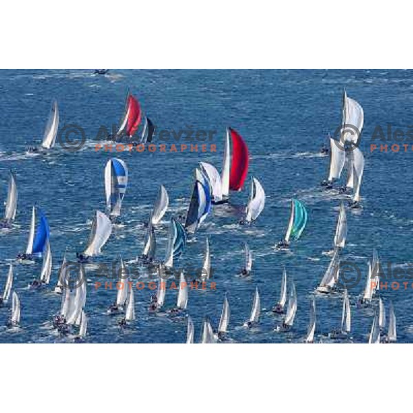 Yachts at start