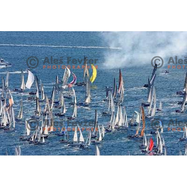 Yachts after start in Trieste