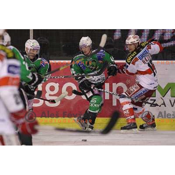 Ales Music of Tilia Olimpija in action during ice-hockey match Tilia Olimpija- KAC in round 54 of EBEL league, played in Hala Tivoli, Ljubljana, Slovenia on Feburay 25,2011 