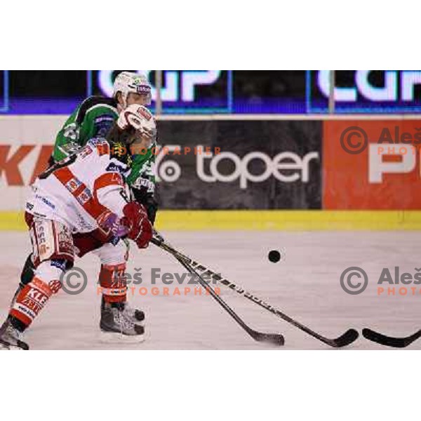 David Sefic of Tilia Olimpija in action during ice-hockey match Tilia Olimpija- KAC in round 54 of EBEL league, played in Hala Tivoli, Ljubljana, Slovenia on Feburay 25,2011 