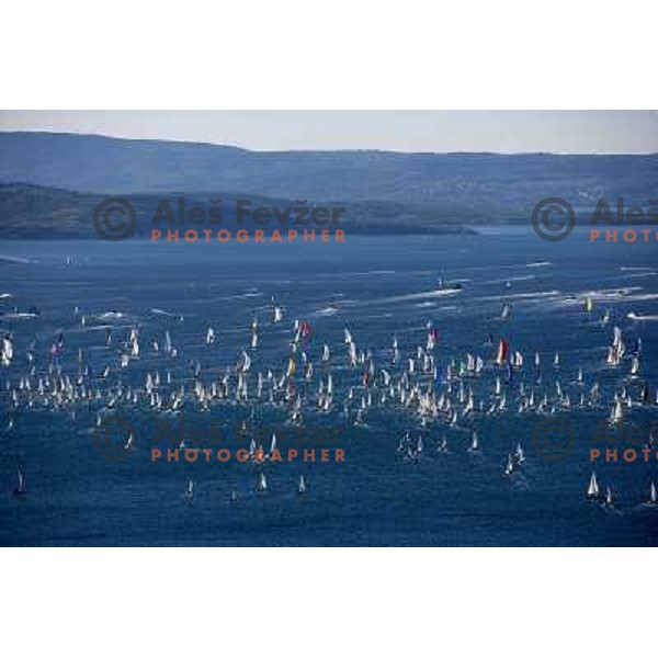 Yachts after start in Trieste
