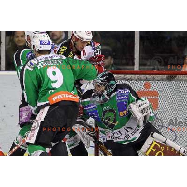Matija Pintaric of Tilia Olimpija in action during ice-hockey match Tilia Olimpija- KAC in round 54 of EBEL league, played in Hala Tivoli, Ljubljana, Slovenia on Feburay 25,2011 