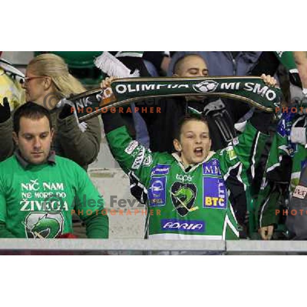Fan of Tilia Olimpija in action during ice-hockey match Tilia Olimpija- KAC in round 54 of EBEL league, played in Hala Tivoli, Ljubljana, Slovenia on Feburay 25,2011 