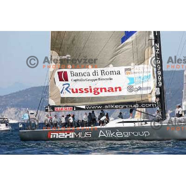 Maximus at finish line
