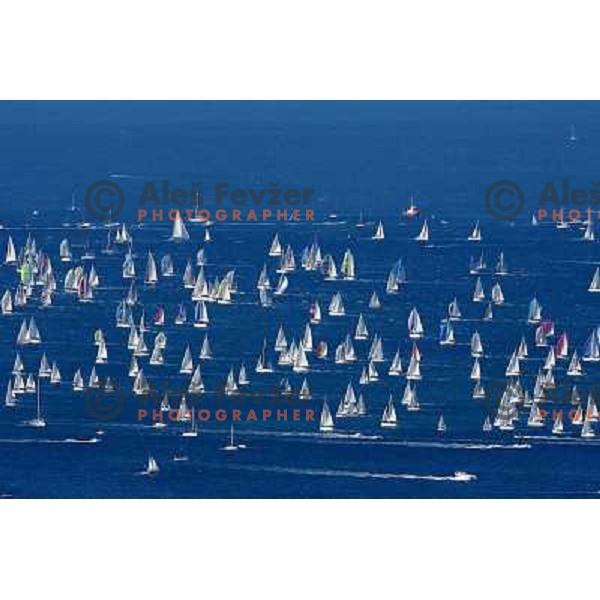 Small yachts after start