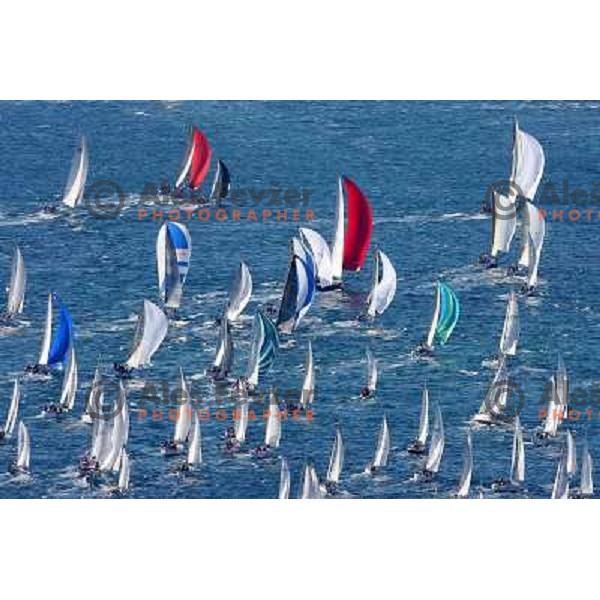 Small yachts after start