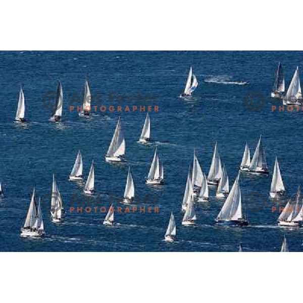 Small yachts after start