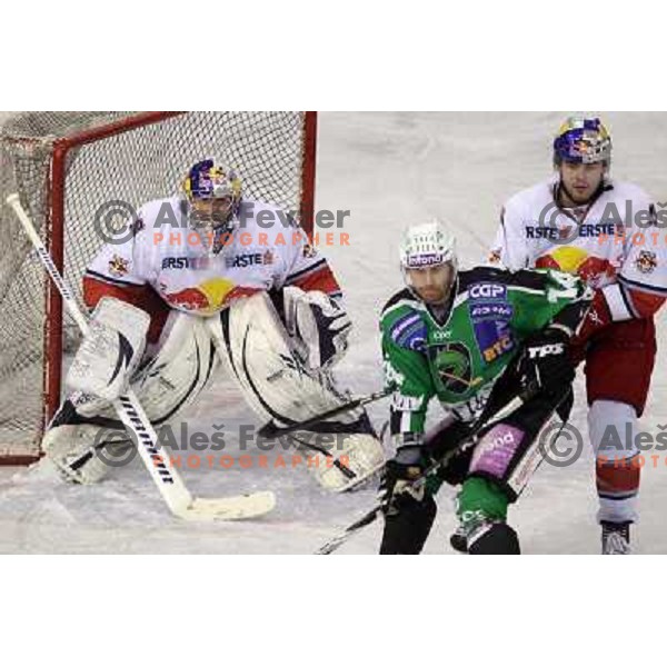 Reinhard Divis of Red Bull Salzburg in action during second game of quarter-final of Ebel league, played in Hala Tivoli, Ljubljana, Slovenia on March 1, 2011 