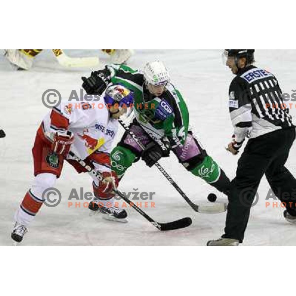 Ales Music of Tilia Olimpija and Ryan Duncan of Red Bull Salzburg in action during second game of quarter-final of Ebel league, played in Hala Tivoli, Ljubljana, Slovenia on March 1, 2011 