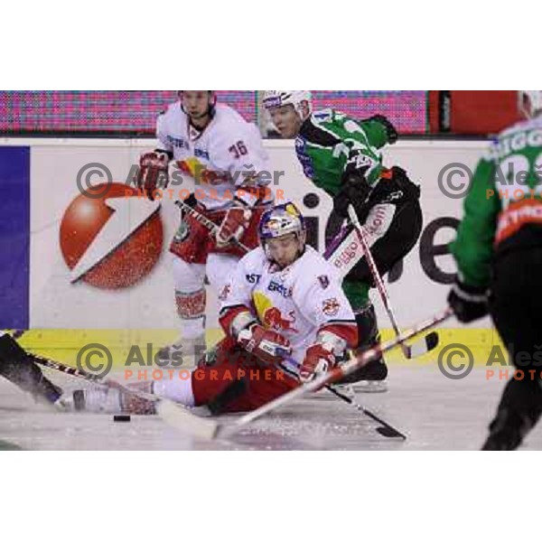 John Hughes of Tilia Olimpija and Thomas Koch of Red Bull Salzburg in action during second game of quarter-final of Ebel league, played in Hala Tivoli, Ljubljana, Slovenia on March 1, 2011 