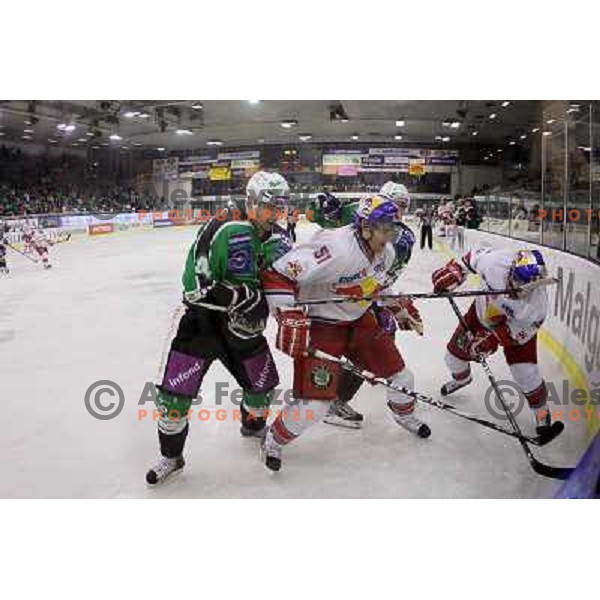 Igor Cvetek, Ziga Pavlin of Tilia Olimpija and Matthias Trattnig of Red Bull Salzburg in action during second game of quarter-final of Ebel league, played in Hala Tivoli, Ljubljana, Slovenia on March 1, 2011 