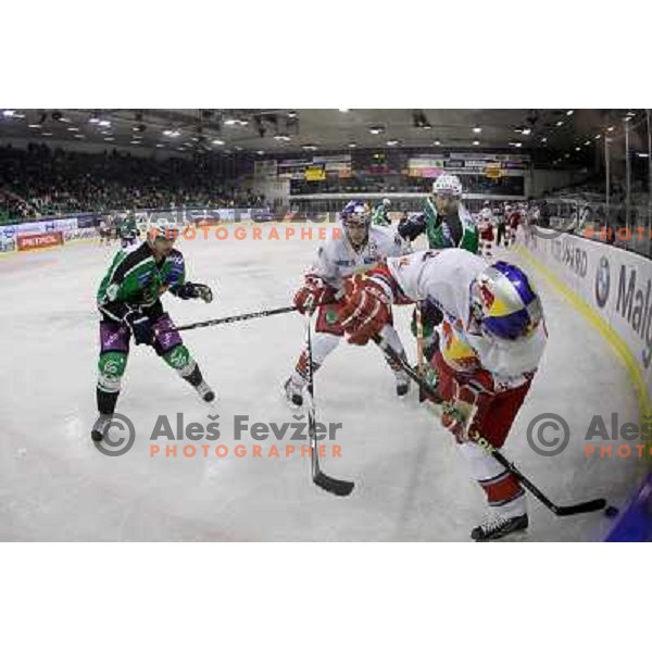 Igor Cvetek, Ziga Pavlin of Tilia Olimpija and Matthias Trattnig of Red Bull Salzburg in action during second game of quarter-final of Ebel league, played in Hala Tivoli, Ljubljana, Slovenia on March 1, 2011 