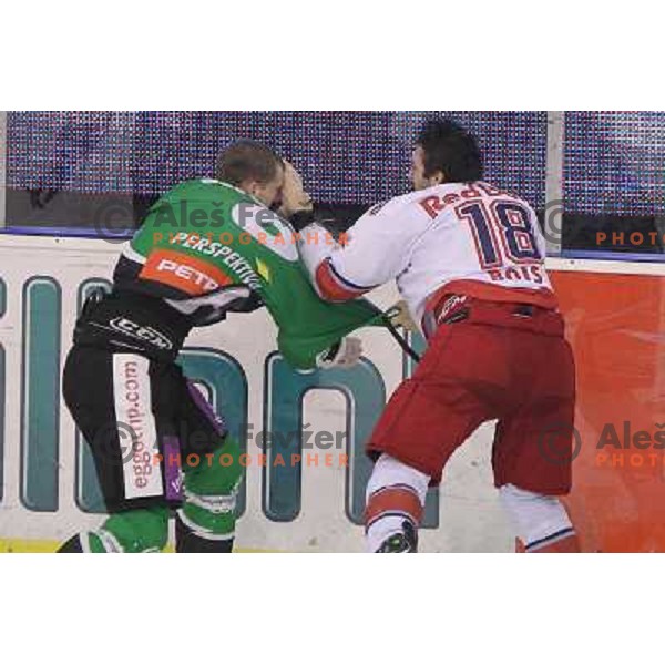 Bostjan Groznik of Tilia Olimpija and Daniel Bois of Red Bull Salzburg fighting during second game of quarter-final of Ebel league, played in Hala Tivoli, Ljubljana, Slovenia on March 1, 2011 