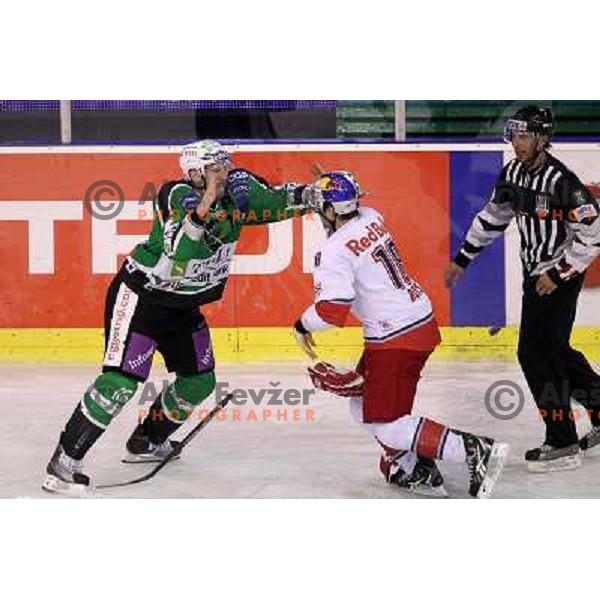 Bostjan Groznik of Tilia Olimpija and Daniel Bois of Red Bull Salzburg fighting during second game of quarter-final of Ebel league, played in Hala Tivoli, Ljubljana, Slovenia on March 1, 2011 