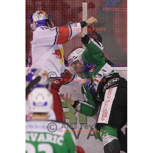 Igor Cvetek of Tilia Olimpija and Ramzi Abid of Red Bull Salzburg fighting during second game of quarter-final of Ebel league, played in Hala Tivoli, Ljubljana, Slovenia on March 1, 2011 