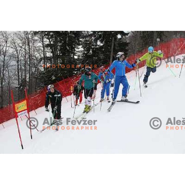  course inspection before start of the first run of Audi FIS World Cup giant slalom race for 50. Vitranc Cup in Kranjska Gora, Slovenia in March 5, 2011 
