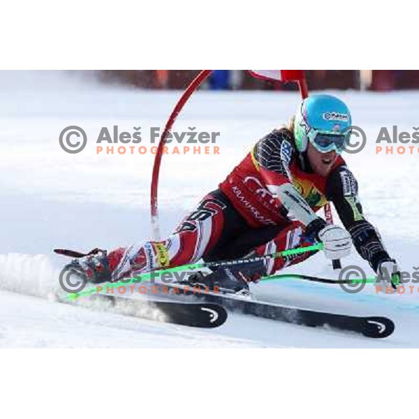 Ted Ligety of USA during first run of Audi FIS World Cup giant slalom race for 50. Vitranc Cup in Kranjska Gora, Slovenia in March 5, 2011 