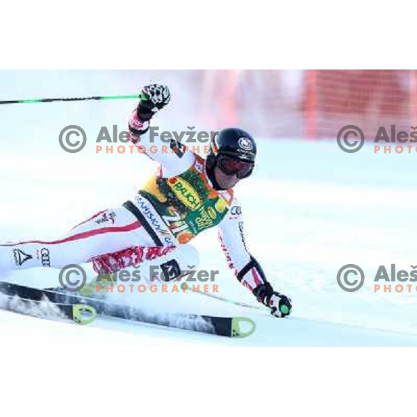 Stephan Goergl of Austria during first run of Audi FIS World Cup giant slalom race for 50. Vitranc Cup in Kranjska Gora, Slovenia in March 5, 2011 