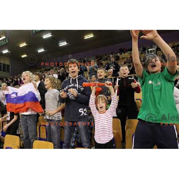 Fans of Slovenia celebrate victory 3:2 in Davis Cup match Slovenia- Finland, played in Hala Tivoli, Ljubljana, Slovenia on March 6, 2011 