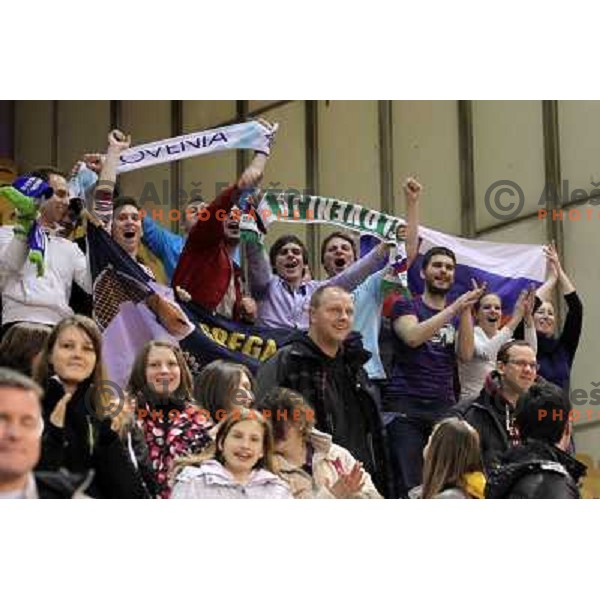 Fans of Slovenia celebrate victory 3:2 in Davis Cup match Slovenia- Finland, played in Hala Tivoli, Ljubljana, Slovenia on March 6, 2011 