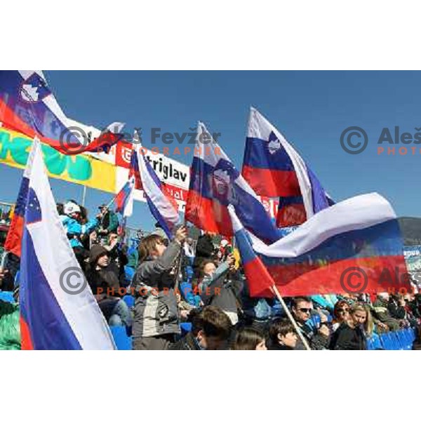  Fans in the finish area during second run of Audi FIS World Cup Giant Slalom for 50 Vitranc Cup in Kranjska Gora, Slovenia on March 5, 2011 