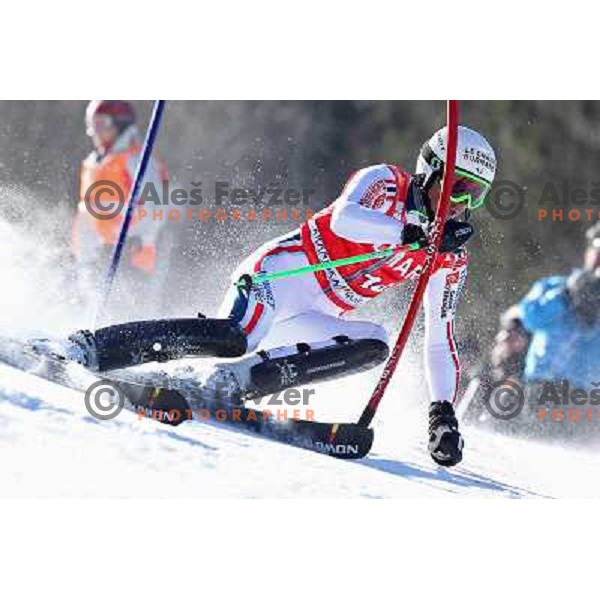 Steve Missillier Skiing in the first run of Audi FIS World Cup Slalom for 50. Vitranc Cup in Kranjska Gora, Slovenia on March 6, 2011 