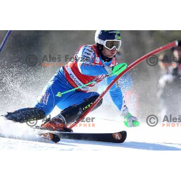Axel Baeck Skiing in the first run of Audi FIS World Cup Slalom for 50. Vitranc Cup in Kranjska Gora, Slovenia on March 6, 2011 