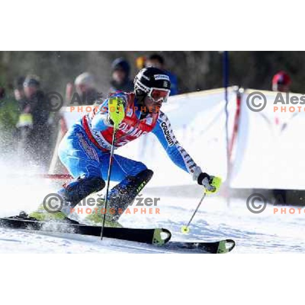 Markus Larsson Skiing in the first run of Audi FIS World Cup Slalom for 50. Vitranc Cup in Kranjska Gora, Slovenia on March 6, 2011 