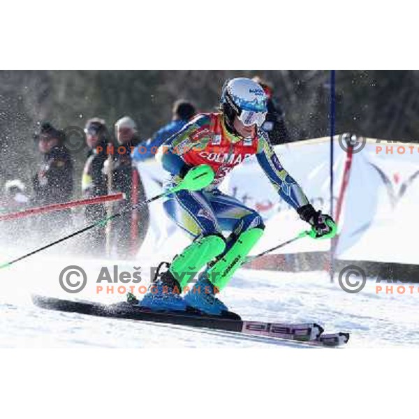 Matic Skube Skiing in the first run of Audi FIS World Cup Slalom for 50. Vitranc Cup in Kranjska Gora, Slovenia on March 6, 2011 
