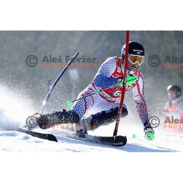 Adam Zampa Skiing in the first run of Audi FIS World Cup Slalom for 50. Vitranc Cup in Kranjska Gora, Slovenia on March 6, 2011 