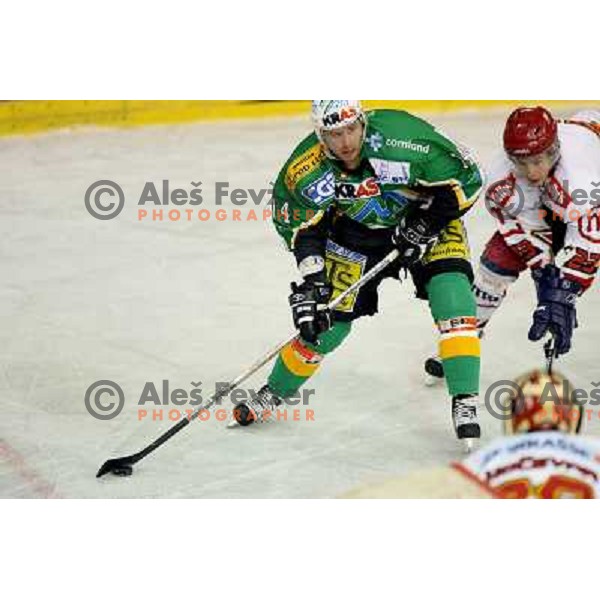 Matej Hocevar (14) in front of Jesencie goalie Andrej Hocevar and Janus Pavlic (23)