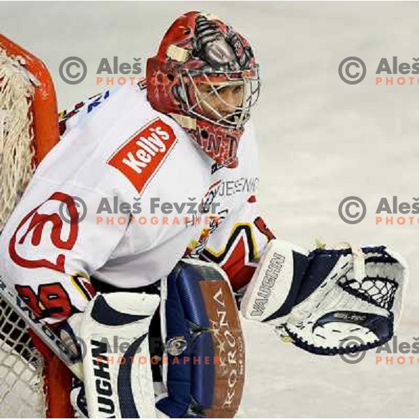 Andrej Hocevar, Jesenice goal keeper