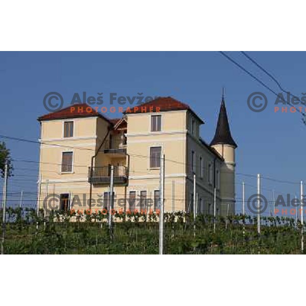 Marof wine estate, home of state of the art Winery in Mackovci, Prekmurje, Slovenia on May 2, 2011 