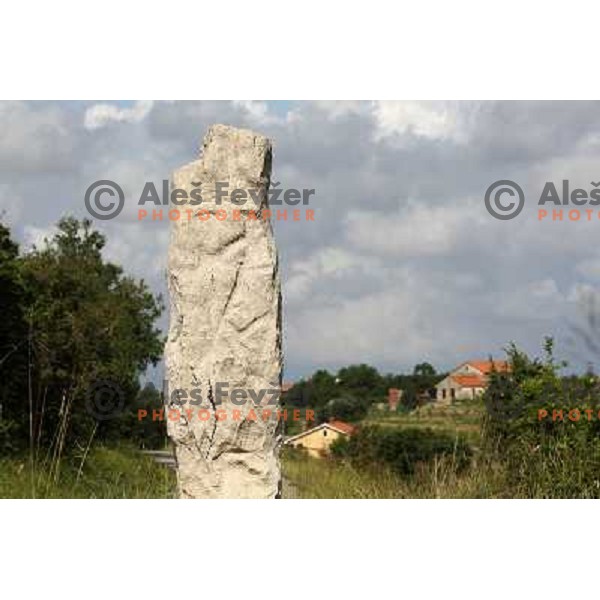 Krkavski kamen- The stone of Krkavce at Savrin\'s Upland ( Savrinsko gricevje) in Slovenian Istria on June 5, 2011 