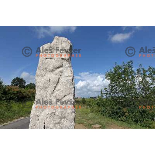Krkavski kamen- The stone of Krkavce at Savrin\'s Upland ( Savrinsko gricevje) in Slovenian Istria on June 5, 2011 