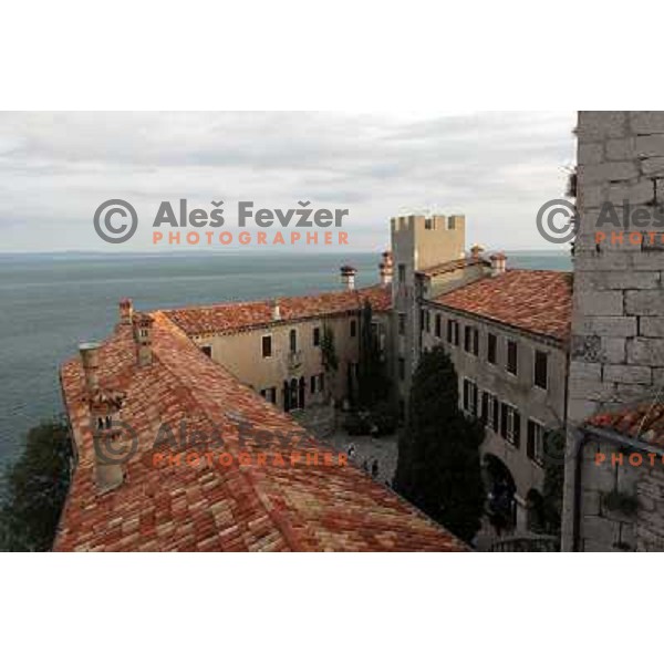 Duino Castle ( Devinski grad ) site of 5 editon "Mare e Vitovska", gastronomic event with Vitovska wine-indigenous grape variety of Italian Carso and Slovenian Kras and Vipava Valley combined with local cousine from top restaurants around Triest