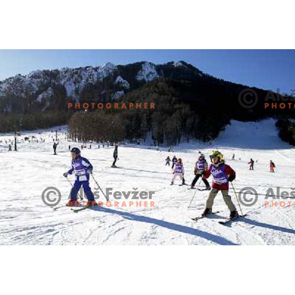 Kranjka gora children skiiing school