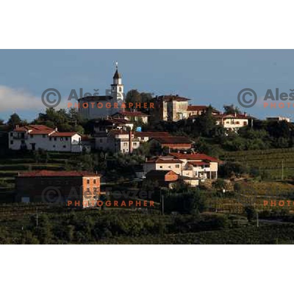 Fojana village and Wineyards in Goriska Brda near Nova Gorica, Slovenia where you can find best slovenian red wines shot September 2011 