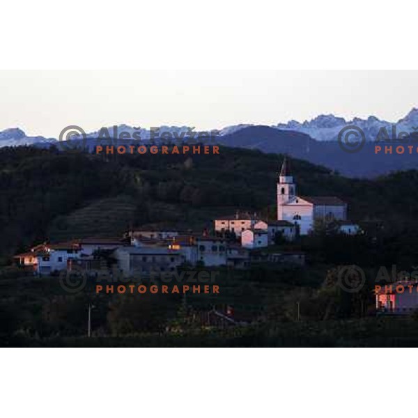 Wineyards in Goriska Brda near Nova Gorica, Slovenia where you can find best slovenian red wines shot September 2011 