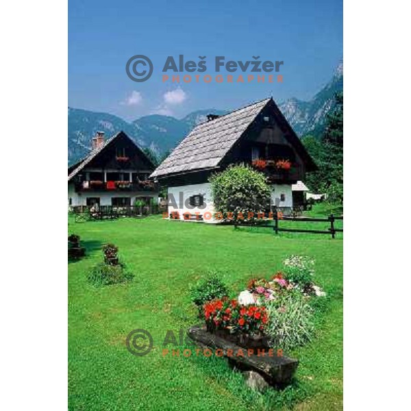Typical slovene country houses near lake Bohinj
