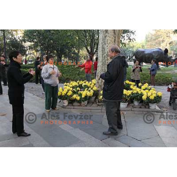 Chinese people practicing Tai Chi and gymnastics during early morning in downtown Shanghai. Tai chi is a type of internal Chinese martial art practiced for both its defense training and its health benefits. Shanghai has more than 25 million people. It is