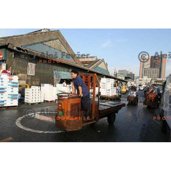 Tokyo (Japan)Tsukiji Market is the biggest wholesale fish and seafood market in the world. You can find more than 400 different types of seafood from cheap seaweed to the most expensive caviar, and from tiny sardines to 300 kg tuna 
