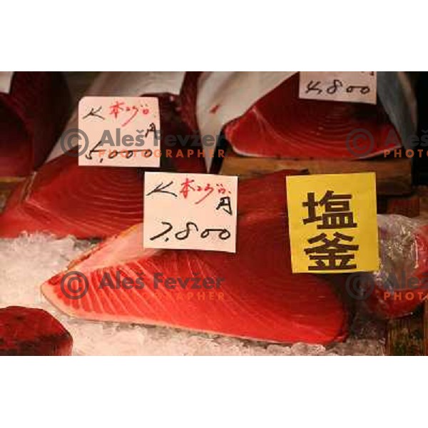 Tokyo (Japan)Tsukiji Market is the biggest wholesale fish and seafood market in the world. You can find more than 400 different types of seafood from cheap seaweed to the most expensive caviar, and from tiny sardines to 300 kg tuna 