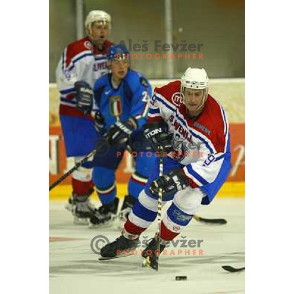 Tomaz Razingar at Ice hockey match Slovenia-Italy, played in Tivoli Hall, Ljubljana, Slovenia on April 20, 2002