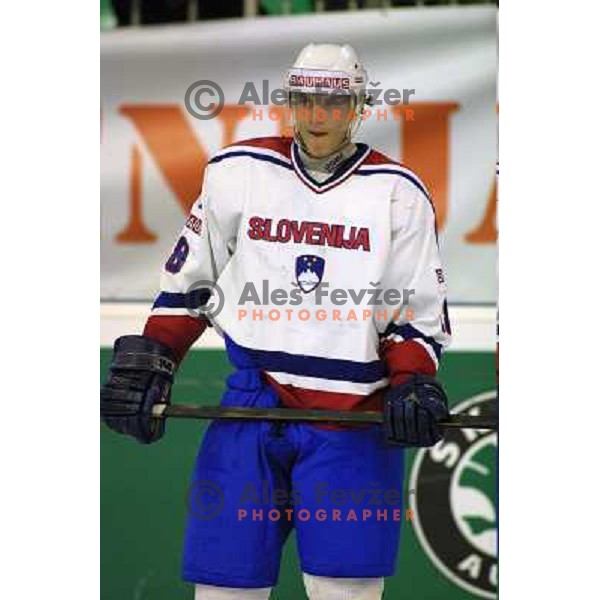 Gregor Poloncic of Slovenia Ice-Hockey team during World Championship group B in Ljubljana, Slovenia on April 2001