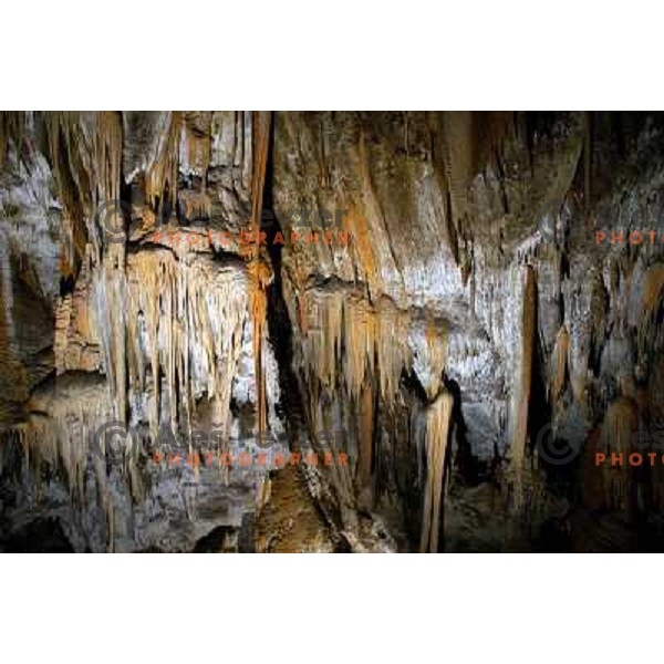 Postojna cave, Slovenia