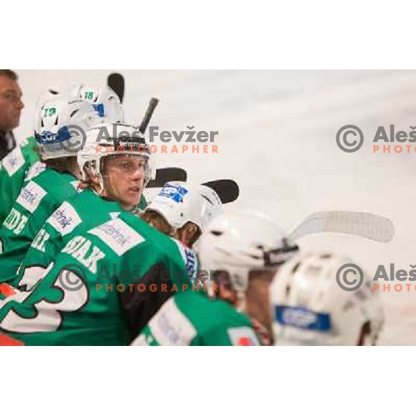 Players of Telemach Olimpija in action during Icefest on open-air Joze Plecnik Bezigrad stadion in Ljubljana, Slovenia on January 4th, 2013 