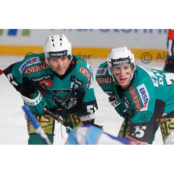 Patric Coulombe and Chris D\'Alvise of Telemach Olimpija during Icefest open-air hockey match on Joze Plecnik Bezigrad stadion in Ljubljana, Slovenia on January 4th, 2013 